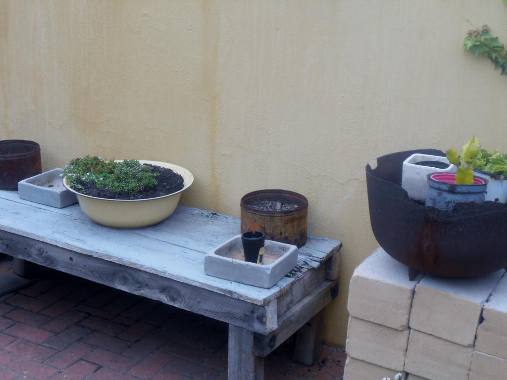 Toscana Cottage Port Elizabeth Exteriér fotografie
